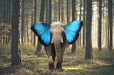 IOTA — The elephant in the room