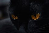BLACK CAT (Great Poems Series)