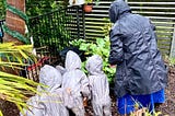 Just imagine what would happen if nursery practitioners didn’t rely on predetermined learning…