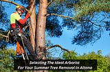 Selecting The Ideal Arborist For Your Summer Tree Removal In Altona
