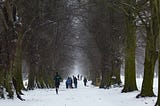 A runner amongst a line of trees in the snow with people in their winter gear