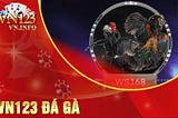 Vn123 | Đá gà giải trí hấp dẫn