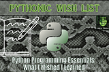 Python Programming Essentials: What I Wished I Learned
