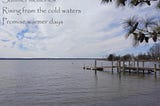 A photo of the Patuxent River taken February 2023 from Broomes Island, Maryland. The sky is mostly grey with a few patches of blue. The river is a grey-green color, and is calm. Photo by K. R. Smith.