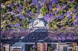 Drone aerial view of a street full of women wearing purple, passing lots of purple jacaranda trees in Mexico City on March 6th, 2020