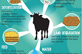 Cause & Effect of Agriculture on the Climate