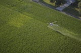 How Illinois’ ‘fragmented system’ of monitoring pesticide exposure ‘allows individuals to get…