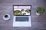 Laney Photography: e-Commerce/Practitioner Website Case Study