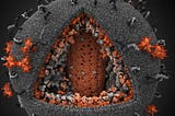 This is the most detailed 3D picture of HIV, the virus responsible for AIDS.