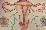Major Issues with Mirena IUD
