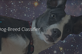 Udacity DLND Dog Breed Project: Debugging your Scratch Model