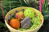 Photo of an Easter basket in an outdoor setting with a plastic wiffle ball, apple, organge, and rock in a bed of fake Easter grass.