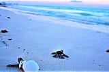 Cuthbert Bay Beach at Rangat Island in Andaman