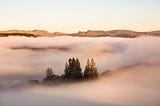 Trees and mountains rise from a sea of cloud that covers the valley.