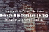 The Brick Walls Are There For A Reason