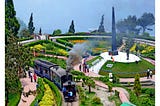 TOY TRAIN ,DARJEELING