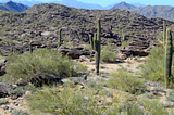 Explore the Picturesque Trails and Recreational Offerings at Mountain View Park: Chandler, AZ’s…