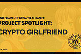 Project Spotlight: CryptoGirlfriend