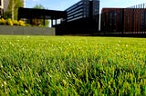 What is artificial grass?