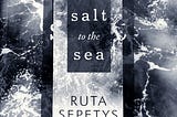 Narenaslibrary #2 : Salt to the Sea