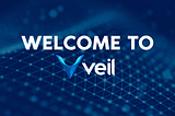 How Greatly Veil Going To Influence The Society Toward Privacy