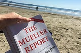 The Mueller Report Book Report