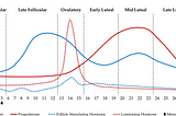 Para meninas: Ciclo menstrual e performance física