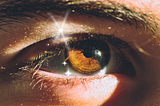 twin flames change your reality