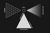 How brains construct experience — 2. Elements of experience