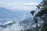 Darjeeling — very limited