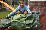 A Little Girl, a Big Idea, and a Cabbage