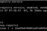 Private Registry Running