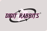 Digit Rabbits: Let’s Build Something Great Together