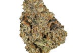 Blueberry Kush Marijuana Strain Information & Reviews