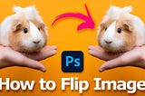 How to flip an image in photoshop without flipping the canvas