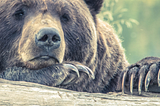 Bitcoin: More lessons from the Bear-market