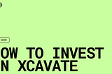 Polimec Investment Guide — How to secure your Xcavate Tokens!