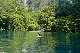 I Used to Shame My Laziness. Then Dave Asprey Made It Make Sense.