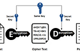 The Most Effective Data Encryption Techniques