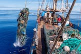 Marine Life is Facing Threats Never Seen Before
