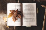 8 Books to Read in the Fall