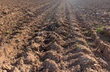 🌱🌍 Maximizing Soil and Land Productivity in Supply Chain Management 🌾📈