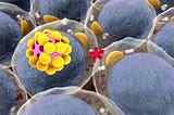 Your Fat Cells…Your Micro Fuel Tanks