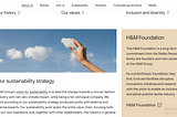 Kampanye Digital Perusahaan Multinasional Busana Hennes & Mauritz AB (H&M)