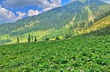 Janbaik village Pakistan