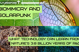 Biomimicry and Solarpunk: What Technology Can Learn from Nature’s 3.8 Billion Years of R&D