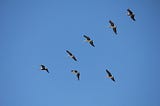 Costly Consequences: Red Flags of Ineffective Leadership