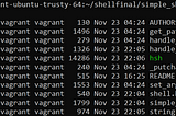 What happens when you type ls -l?