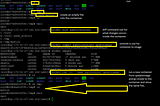 In this picture create and run the container and create an empty file into the container. The first command shows we create a container from an image and Commit command shows we create an image from a container.