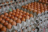 How to Choose the Right Eggs Distributor in Singapore for Wholesale and Retail Needs